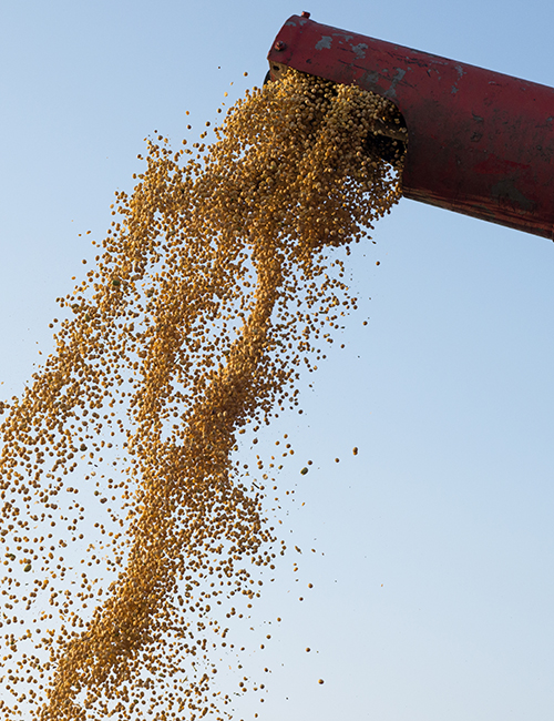 Grain and agricultural product processing industry